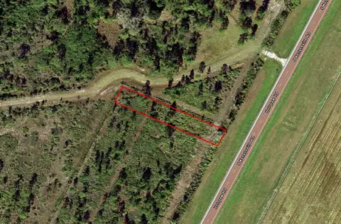 Hunting Land with Road Access