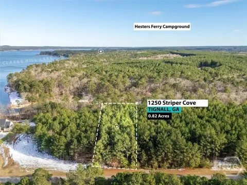 Waterfront Land With Dock Potential