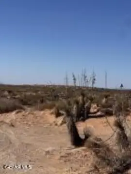 Horizon City Land For Sale