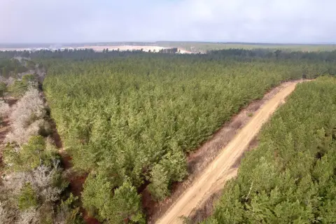 25 Acres in Kershaw County