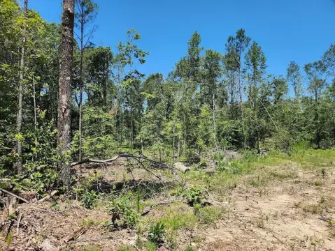 Highway Commercial Land