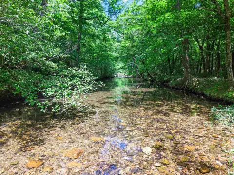 Farmland with Creek and Timber