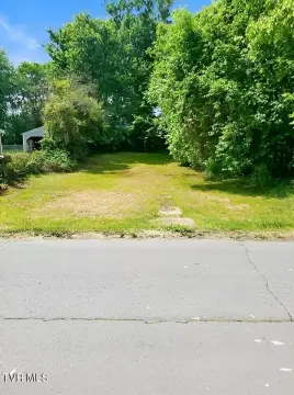 Level Lot in Johnson City