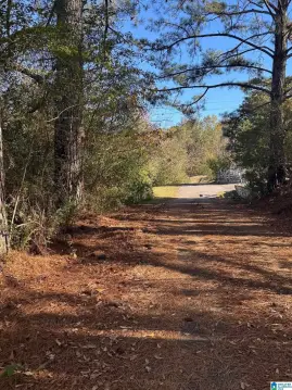 Wooded Residential Building Lot