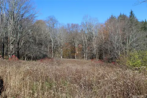 Woodland and Pasture Land