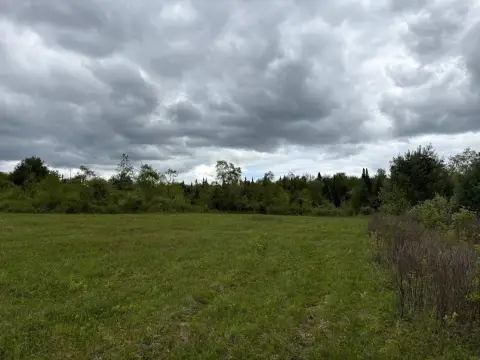 142 Acres Vacant Land, Cold Brook