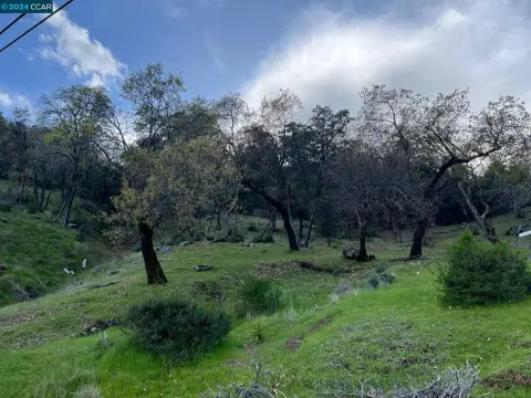 Napa Valley Land Opportunity