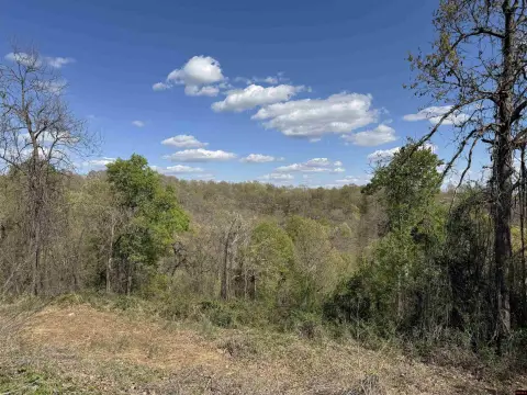 105 Acres Near Buffalo River