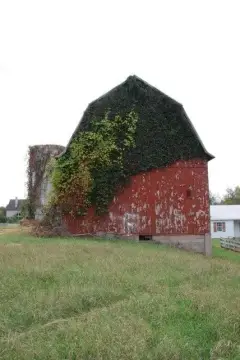 Ada Township Agricultural Land