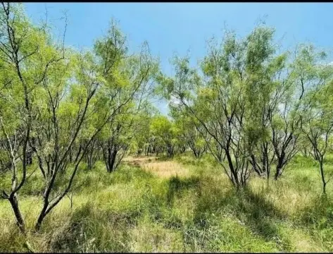 Fenced Hunting Land with Stock Tank