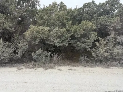 Undeveloped Lot in Spring Branch