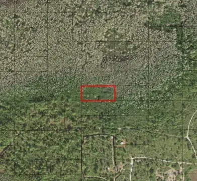 Land for Hunting and Camping