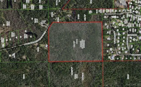 Crystal River Wooded Land Parcel
