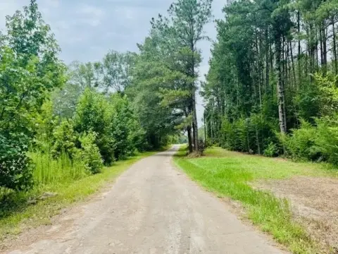 Wooded Acreage in Kirbyville, Texas