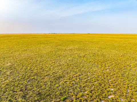 Native Grass Pasture Tract