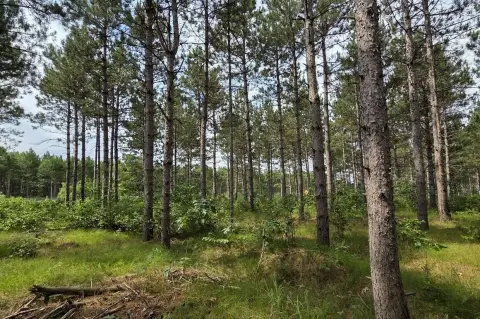 Buildable Wooded Recreation Land