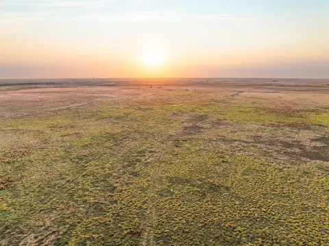 Flat Grazing Land with Internal Road