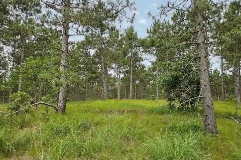 Wooded Recreational Land Homesite
