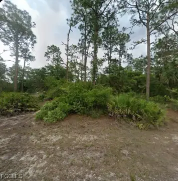 Lehigh Acres Half-Acre Lot