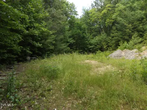 Wooded Mountain Home Site