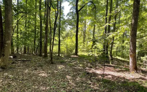 Hayesville Vacant Lot in Mountain Harbour