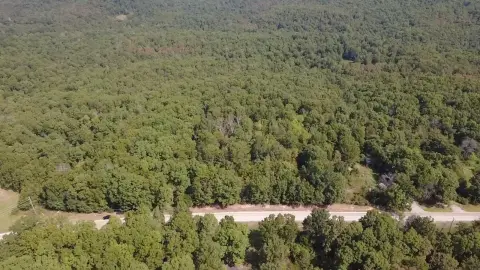 Wooded Land Tract