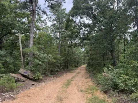 Wooded Hunting Land