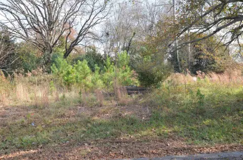 Residential Lot in Iva, SC