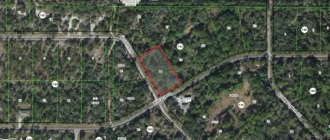 Crystal River Wooded Corner Lot