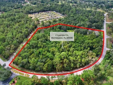 Prime Commercial Land in Homosassa