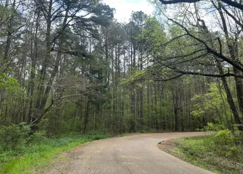 Vacant Land Near Natchez Trace