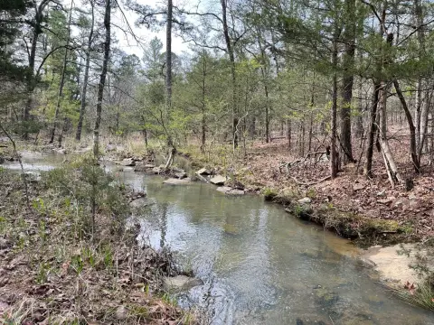 Wooded Recreation Land with Creek