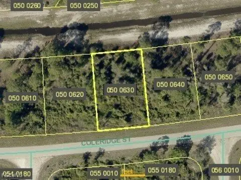 Residential Land in Lehigh Acres
