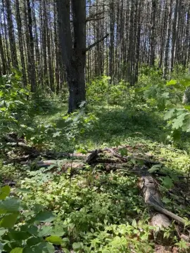Waterfront Recreational Land Parcel