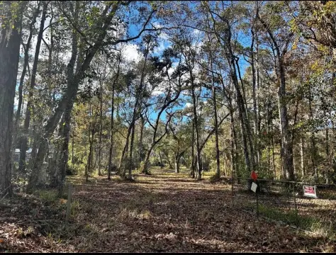 Residential Homesite in Brooksville, Florida