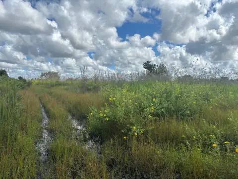 Okeechobee Recreational Land For Sale