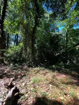 Vacant Lot Near Atlanta Beltline