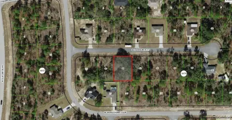 Vacant Lot in Citrus Springs