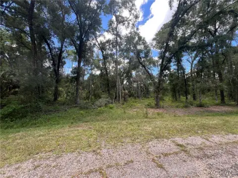 Oversized Lot in Citrus Springs