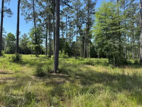 Residential Lot Near Sam Rayburn
