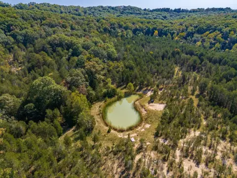 Wooded Recreation Land