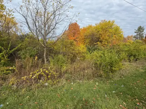 Land Near Lake Michigan Beaches
