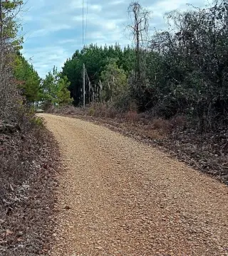 Recreation and Homesite Land with Electricity