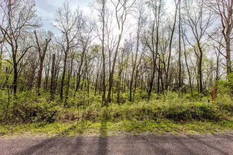 Wooded Lot in Heritage Lakes