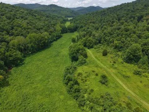 Hunting Land With Cabin