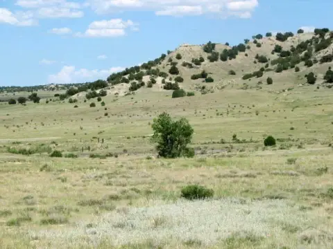 Large Acreage on Hatchet Ranch