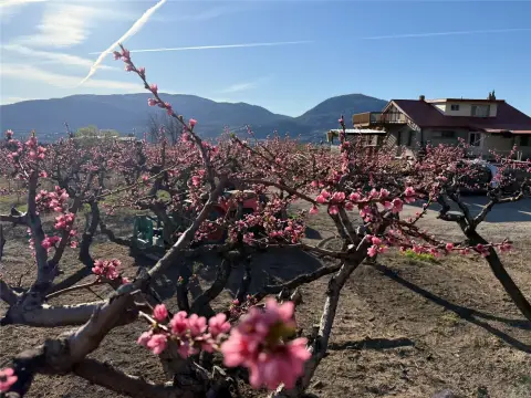 Historic Farm Property