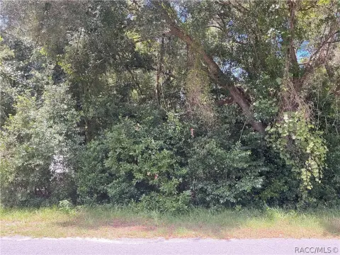 Residential Lot in Inverness, FL