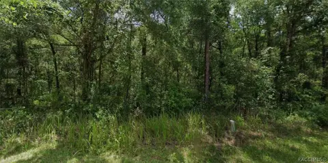 Residential Land in Inverness, FL