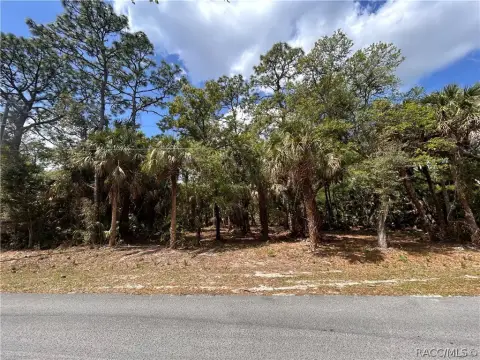 Wooded Homesite in Crystal River